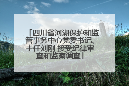 四川省河湖保护和监管事务中心党委书记、主任刘刚 接受纪律审查和监察调查