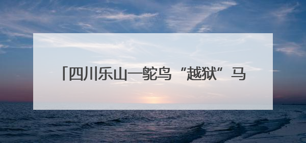 四川乐山一鸵鸟“越狱”马路狂奔，目击者：时速超40码，还对我“笑”了下