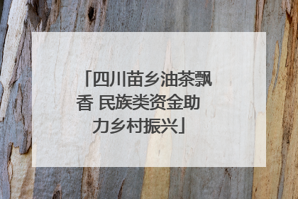 四川苗乡油茶飘香 民族类资金助力乡村振兴