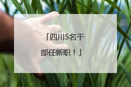 四川5名干部任新职！