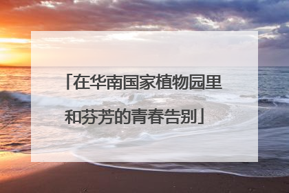 在华南国家植物园里和芬芳的青春告别