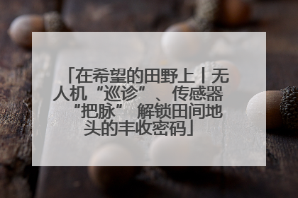 在希望的田野上丨无人机“巡诊”、传感器“把脉” 解锁田间地头的丰收密码
