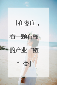 在枣庄，看一颗石榴的产业“链”变