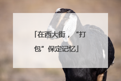 在西大街，“打包”保定记忆