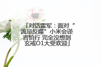对话雷军：面对“流量反噬”小米会谨言慎行 完全没想到玄戒O1大受欢迎