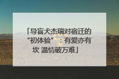 导盲犬杰瑞对宿迁的“初体验”：有爱亦有坎 温情破万难