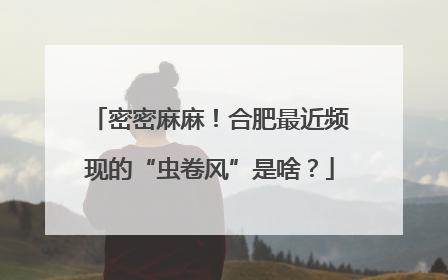 密密麻麻！合肥最近频现的“虫卷风”是啥？