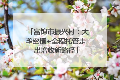 富锦市振兴村：大垄密植+全程托管走出增收新路径