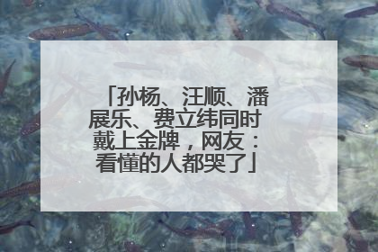 孙杨、汪顺、潘展乐、费立纬同时戴上金牌，网友：看懂的人都哭了