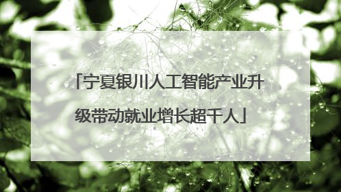 宁夏银川人工智能产业升级带动就业增长超千人