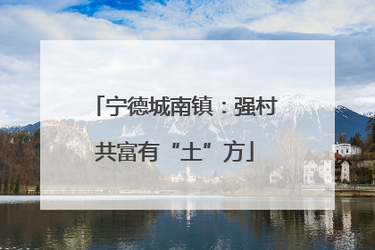宁德城南镇：强村共富有“土”方