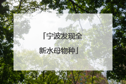宁波发现全新水母物种