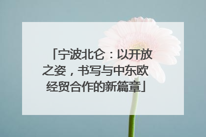 宁波北仑：以开放之姿，书写与中东欧经贸合作的新篇章