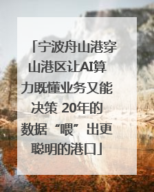 宁波舟山港穿山港区让AI算力既懂业务又能决策 20年的数据“喂”出更聪明的港口