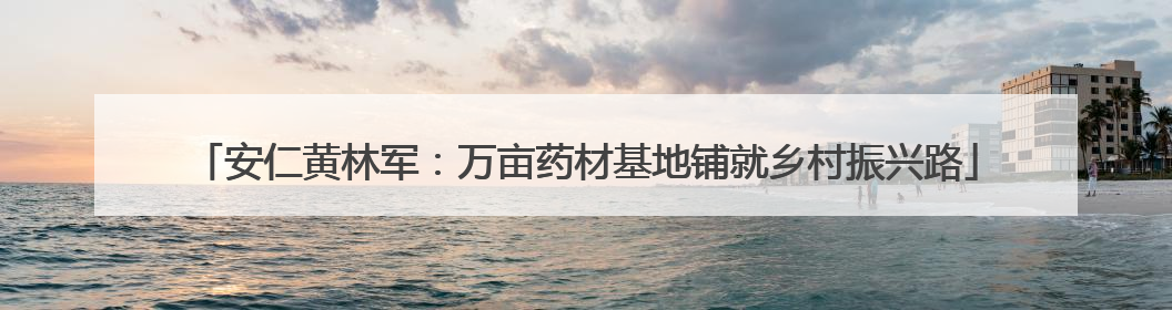 安仁黄林军：万亩药材基地铺就乡村振兴路