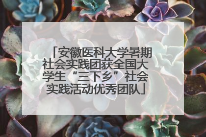 安徽医科大学暑期社会实践团获全国大学生“三下乡”社会实践活动优秀团队