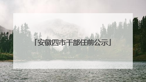安徽四市干部任前公示