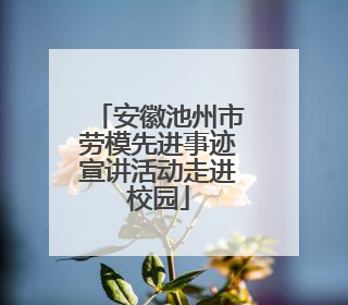 安徽池州市劳模先进事迹宣讲活动走进校园
