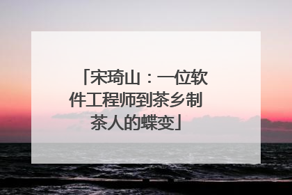 宋琦山：一位软件工程师到茶乡制茶人的蝶变