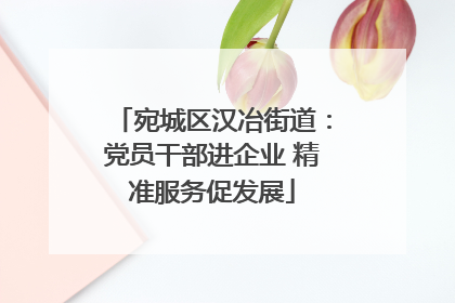 宛城区汉冶街道：党员干部进企业 精准服务促发展