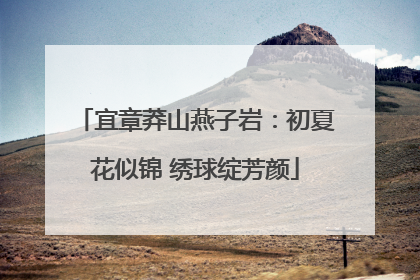 宜章莽山燕子岩：初夏花似锦 绣球绽芳颜