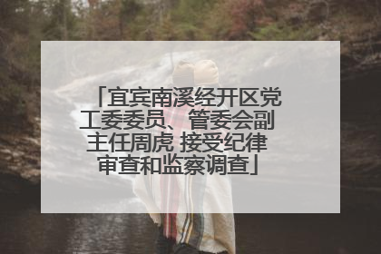 宜宾南溪经开区党工委委员、管委会副主任周虎 接受纪律审查和监察调查