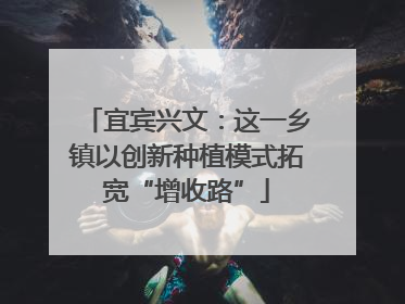 宜宾兴文：这一乡镇以创新种植模式拓宽“增收路”