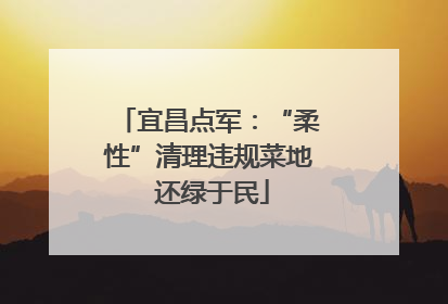 宜昌点军：“柔性”清理违规菜地 还绿于民