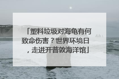 塑料垃圾对海龟有何致命伤害？世界环境日，走进开普敦海洋馆