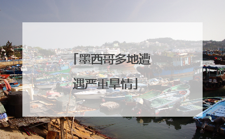 墨西哥多地遭遇严重旱情