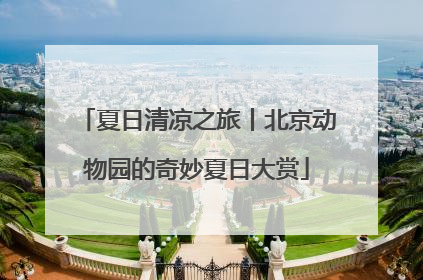 夏日清凉之旅丨北京动物园的奇妙夏日大赏