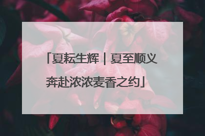 夏耘生辉｜夏至顺义奔赴浓浓麦香之约