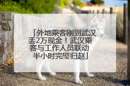 外地乘客刚到武汉丢2万现金！武汉乘客与工作人员联动 半小时完璧归赵