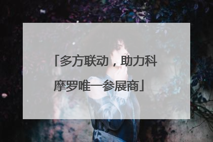 多方联动，助力科摩罗唯一参展商