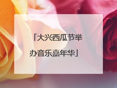 大兴西瓜节举办音乐嘉年华