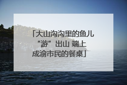 大山沟沟里的鱼儿 “游”出山 端上成渝市民的餐桌