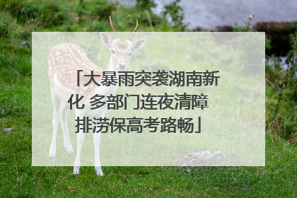 大暴雨突袭湖南新化 多部门连夜清障排涝保高考路畅