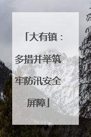大有镇：多措并举筑牢防汛安全屏障