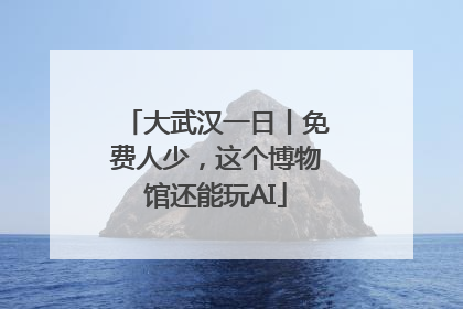 大武汉一日丨免费人少，这个博物馆还能玩AI