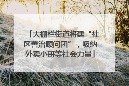 大栅栏街道将建“社区善治顾问团”，吸纳外卖小哥等社会力量
