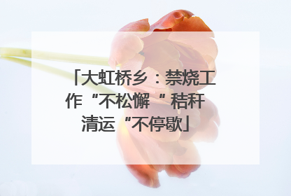 大虹桥乡：禁烧工作“不松懈“ 秸秆清运“不停歇