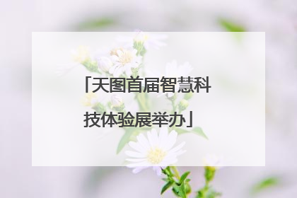 天图首届智慧科技体验展举办