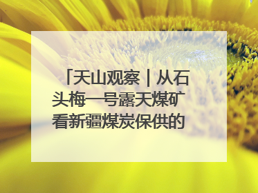 天山观察｜从石头梅一号露天煤矿看新疆煤炭保供的量与“智”