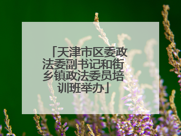 天津市区委政法委副书记和街乡镇政法委员培训班举办