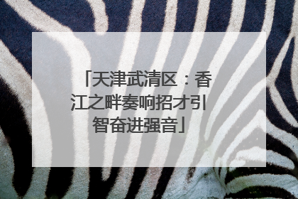天津武清区：香江之畔奏响招才引智奋进强音