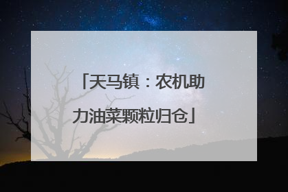 天马镇：农机助力油菜颗粒归仓