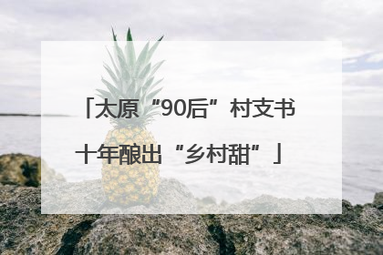 太原“90后”村支书十年酿出“乡村甜”