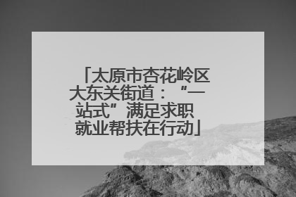 太原市杏花岭区大东关街道：“一站式”满足求职 就业帮扶在行动