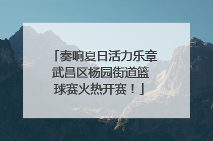 奏响夏日活力乐章 武昌区杨园街道篮球赛火热开赛！