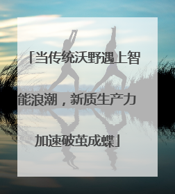 当传统沃野遇上智能浪潮，新质生产力加速破茧成蝶